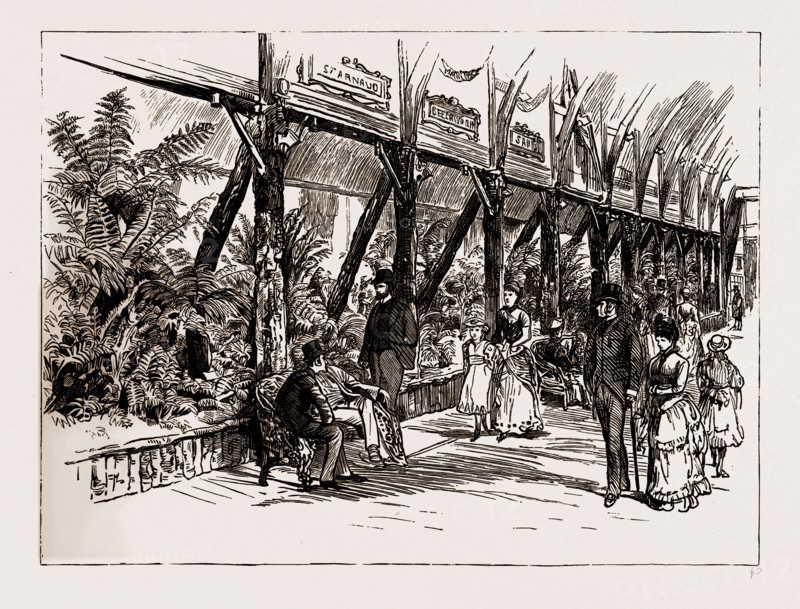 AUSTRALIAN EXHIBITS AT THE COLONIAL AND INDIA EXHIBITION, 1886: THE FERNERY, VICTORIAN COURT