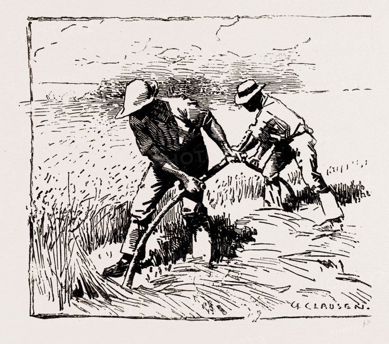 ILLUSTRATIONS FROM THE CATALOGUE OF THE ROYAL INSTITUTE OF PAINTERS IN WATER COLOURS, 1886: MOWERS, By George Clausen, R.I.