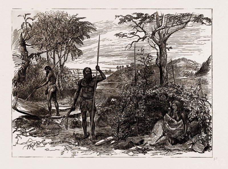AUSTRALIAN AND NEW ZEALAND EXHIBITS AT THE COLONIAL AND INDIAN EXHIBITION, 1886: SCENE ON THE MURRAY RIVER, NEW SOUTH WALES COURT