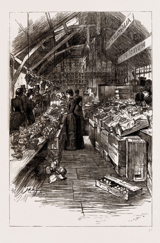 THE COLONIAL AND INDIAN EXHIBITION, 1886: THE AUSTRALIAN FRUIT STALLS IN THE COLONIAL MARKET
