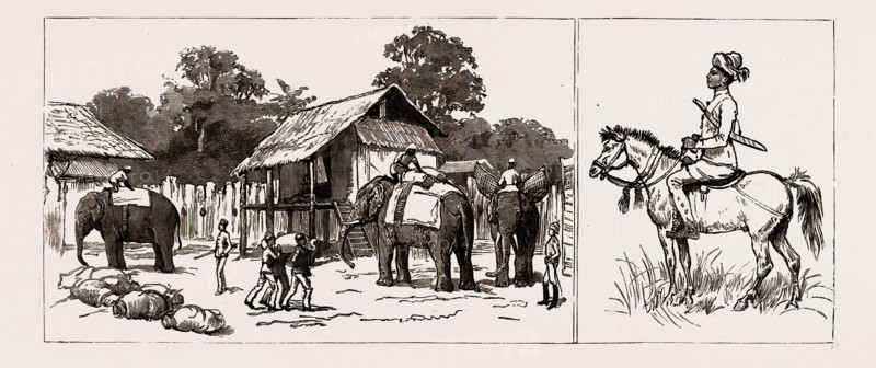 THE EXPEDITION TO UPPER BURMA, WITH THE TONGHOO FIELD FORCE, 1886: GYOBIN STOCKADE, INTERIOR: ELEPHANTS OF THE BOMBAY-BURMA CORPORATION LOADING TRANSPORT; A BURMA MOUNTED POLICE SCOUT
