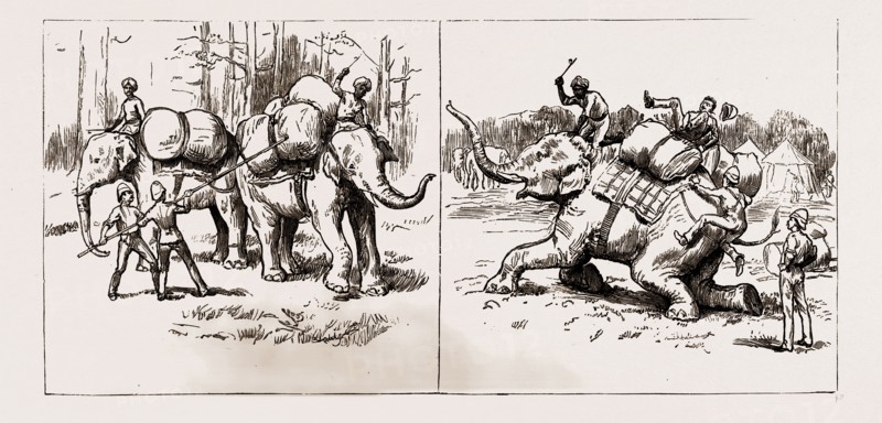 THE EXPEDITION TO UPPER BURMA, WITH THE TONGHOO FIELD FORCE, 1886: TRANSPORT DIFFICULTIES AGAIN, TRYING TO LOAD; TRANSPORT DIFFICULTIES, AN ELEPHANT DISPOSING OF ITS LOAD