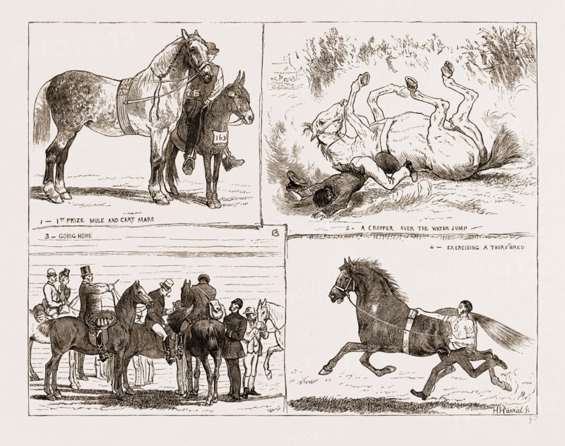TIIE HORSE SHOW AT THE ALEXANDRA PARK LONDON UK 1873