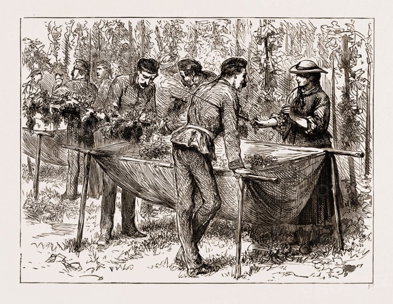 HOP-PICKING AT ALDERSHOTâ€îA MILITARY FLIRTATION, UK, ENGRAVING 1873
