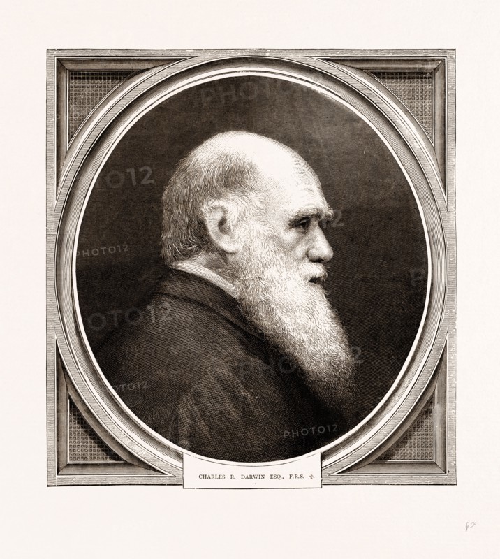 CHARLES R. DARWIN, ESQ. F.R.S.