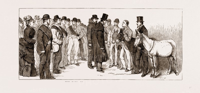 ANNUAL MEETING OF THE GOLDEN LANE COSTERMONGERS' MISSION: THE EARL OF SHAFTESBURY REVIEWING THE DONKEYS, 1875