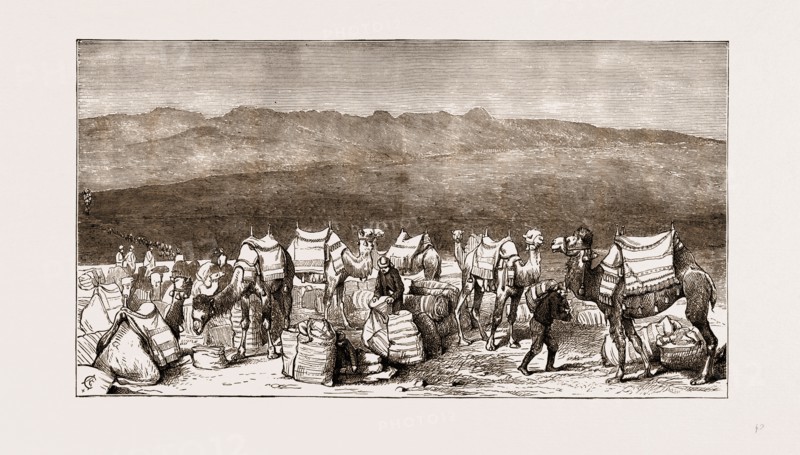 THE FAMINE IN ASIA MINOR, 1875: DEPARTURE FROM CELEPHKIA OF A CONVOY WITH GRAIN SENT BY THE KHEDIVE OF EGYPT