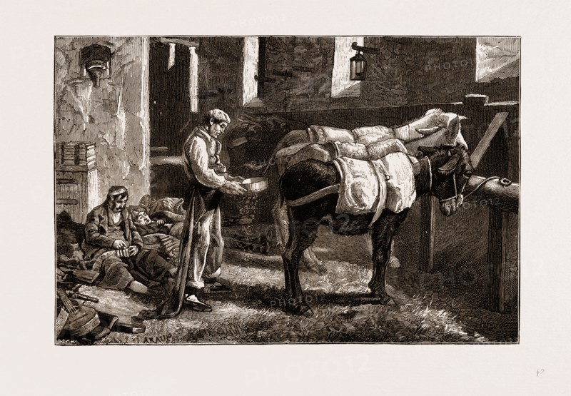 THE CIVIL WAR IN SPAIN, 1875: CARLIST BAGGAGE CARRIERS
