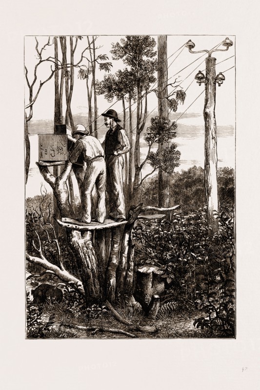 THE RECENT TRANSIT OF VENUS: PREPARING FOR WORK AT AN AUSTRALIAN BUSH STATION, 1875