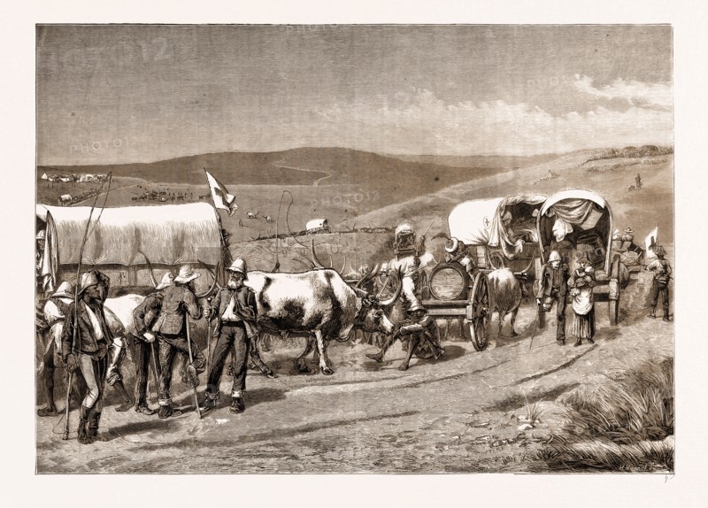 THE REVOLT IN THE TRANSVAAL, SOUTH AFRICA, 1881: SURVIVORS OF BRONKER'S SPRUIT RETURNING TO THE BRITISH LINES