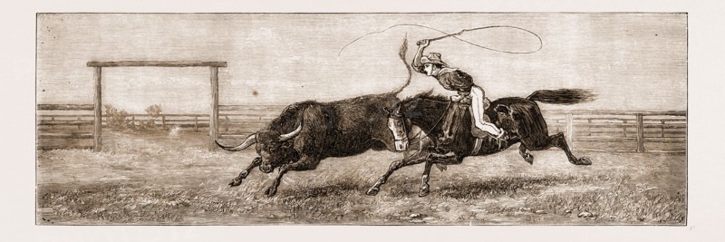SATURDAY AFTERNOON IN NORTH QUEENSLAND: "FRESH BEEF FOR SUNDAY", 1881