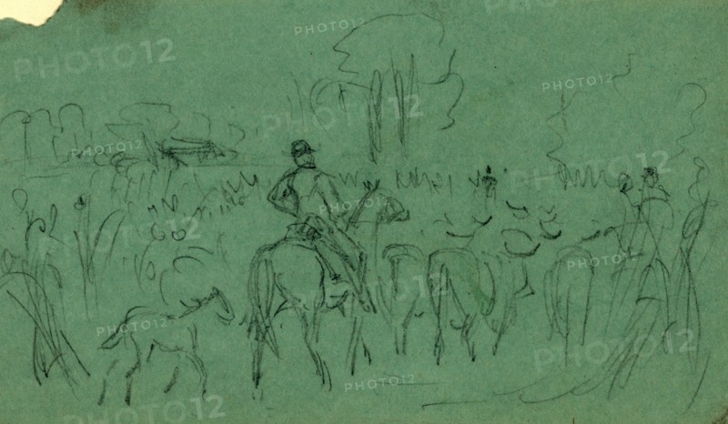 Driving in cows, 1860-1865, drawing, 1862-1865, by Alfred R Waud, 1828-1891, an american artist famous for his American Civil War sketches, America, US