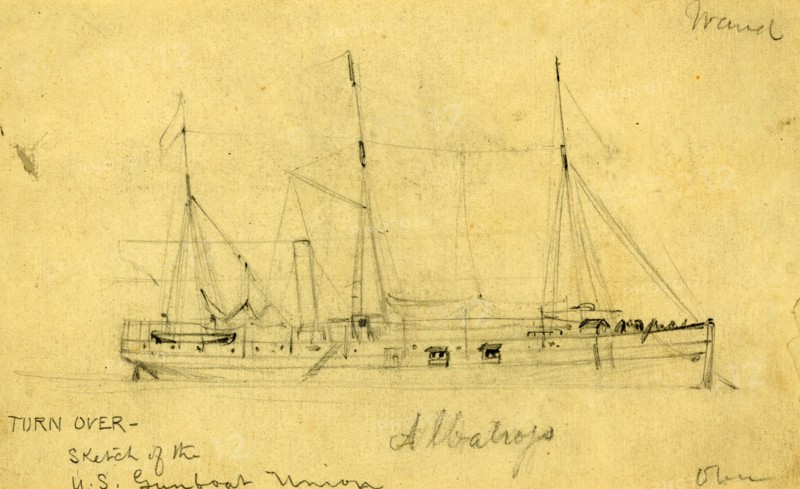 Albatross, between 1860 and 1865, drawing on cream paper pencil, 10.5 x 17.6 cm. (sheet),  1862-1865, by Alfred R Waud, 1828-1891, an american artist famous for his American Civil War sketches, America, US