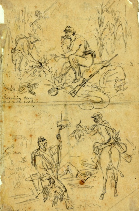 Scenes on the road, roasting corn and foraging, between 1860 and 1865, drawing on cream paper pencil, 23.4 x 15.0 cm. (sheet), 1862-1865, by Alfred R Waud, 1828-1891, an american artist famous for his American Civil War sketches, America, US