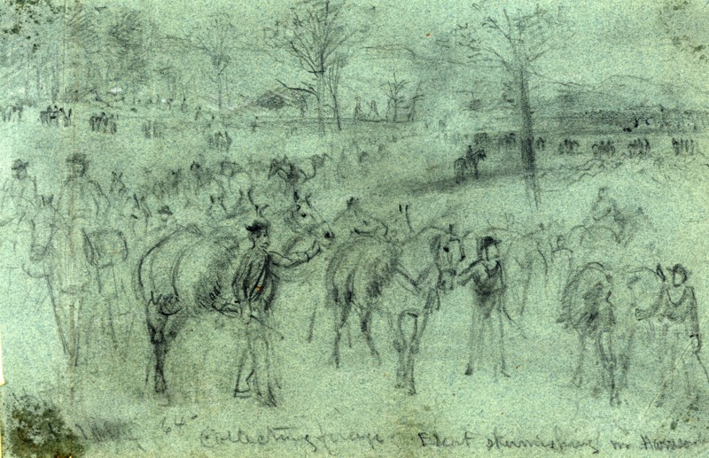 Collecting forage. Escort skirmishing n. Harrison, 1864 October, drawing on blue paper pencil, 14.9 x 23.7 cm. (sheet), 1862-1865, by Alfred R Waud, 1828-1891, an american artist famous for his American Civil War sketches, America, US