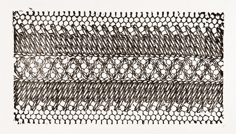 DESIGN FOR DARNING ON NET, NEEDLEWORK, 19th CENTURY EMBROIDERY