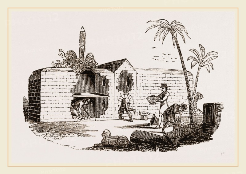 Egyptian Egg-Oven