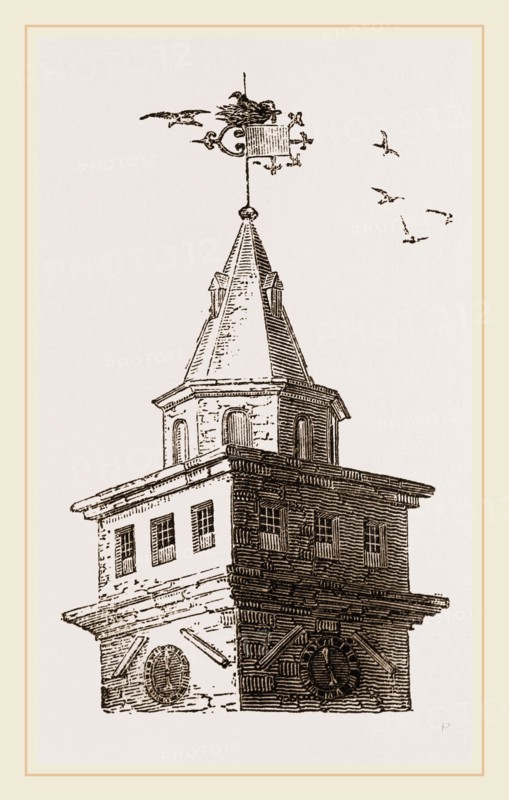 Rookery on Newcastle Exchange Spire UK