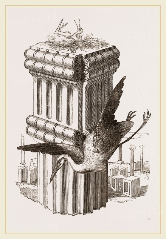Stork's Nest at Persepolis, Iran