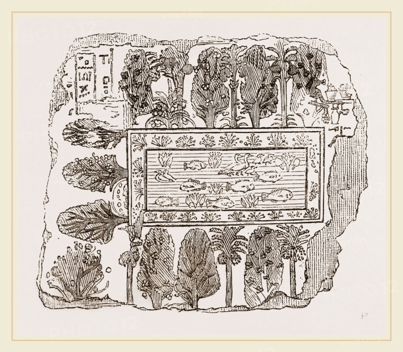 Ancient Egyptian Ornamental Garden, Egypt