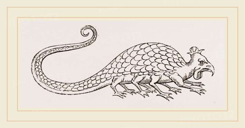 Basilisk from Aldrovandus