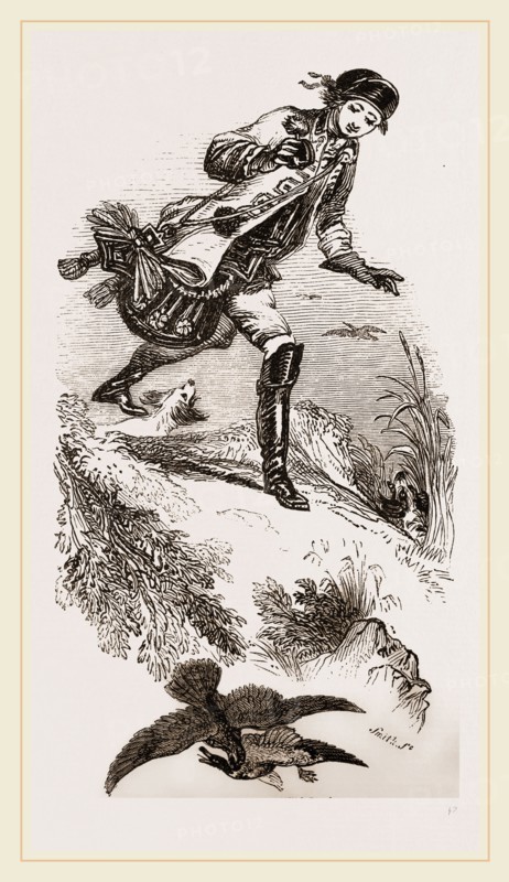 Hawking for Wild-Ducks