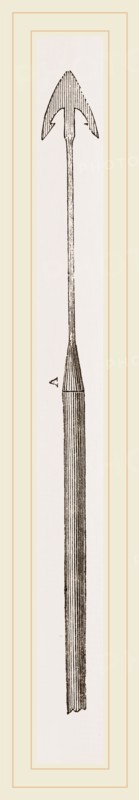 Whaling Harpoon
