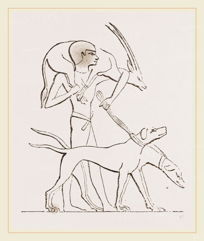 From an Egyptian Painting