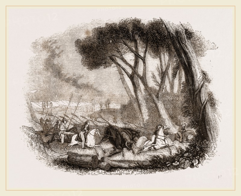Wild Bull-hunting in the Alemtejo
