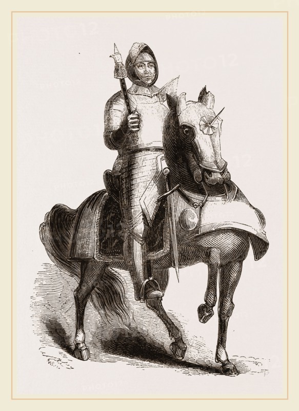 Old English War Horse