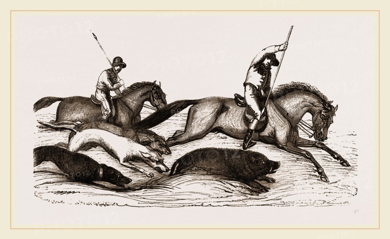 Boar-hunting in India