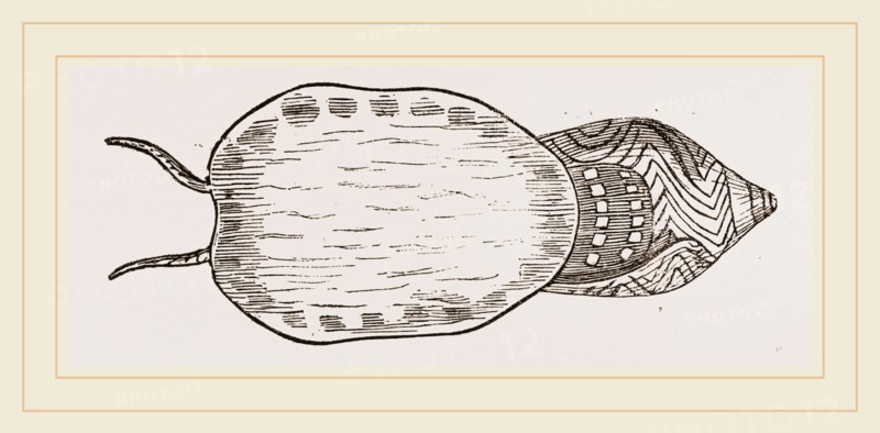 Undulated Volute expanded Foot