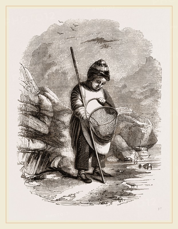 Young Shrimp-catcher