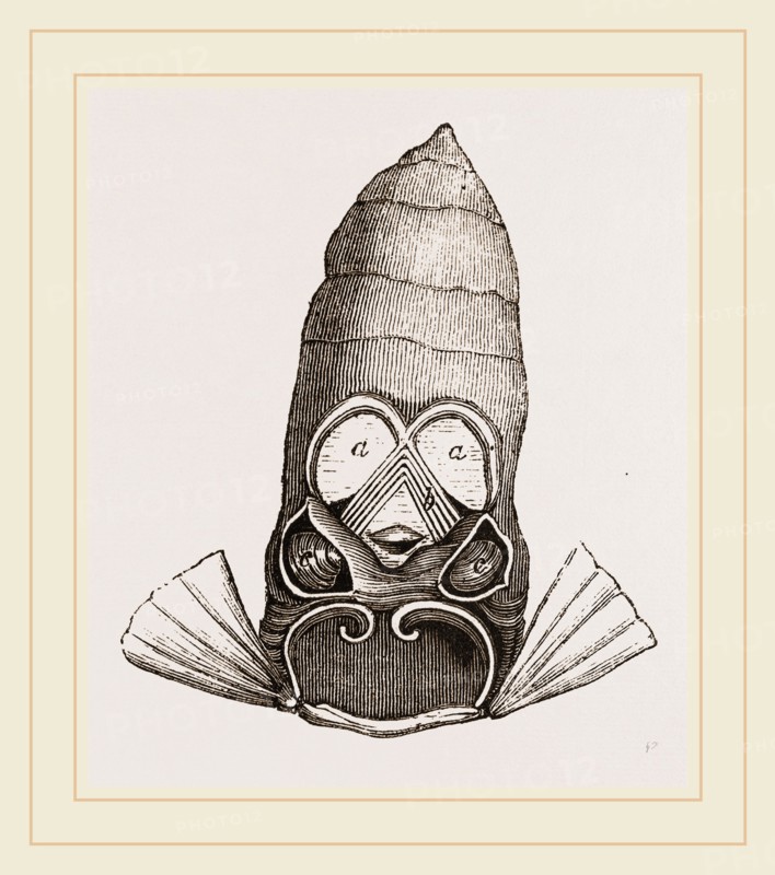 Drums of Tree-hopper
