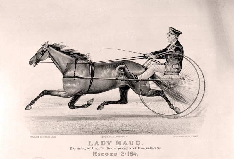 Lady Maud: bay mare, by General Knox; pedigree of dam, unknown; Currier & Ives.,; New York : Published by Currier & Ives, c1876.; 1 print : lithograph.