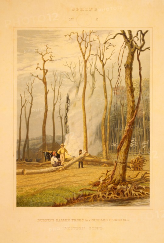 Spring--Burning fallen trees in a girdled clearing--Western scene / engraved by W.J. Bennett N.A. from the original painting by G. Harvey A.N.A.; Bennett, W. J. (William James), 1787-1844, engraver; Harvey, George, approximately 1800-1878 , artist; c1841.; 1 print : engraving and aquatint, color.; Men at work on the land, cutting and burning trees.