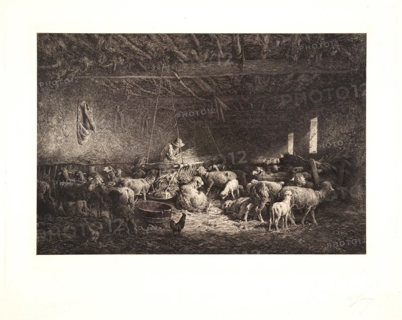 Charles Ãâmile Jacque (French, 1813 - 1894). The Large Sheepfold (La Grande Bergerie), 1859. Etching and drypoint (and according to Guiffrey there is also burin work in this second state) on wove paper. Plate: 386 mm x 531 mm (15.2 in. x 20.91 in.). Second of two states.