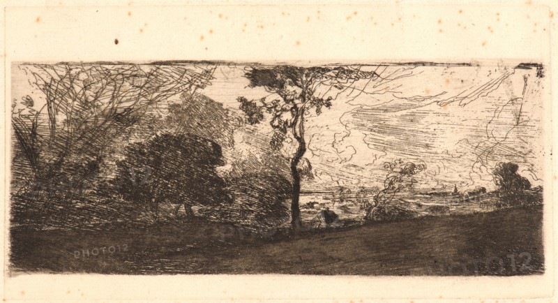 Théodore Rousseau (French, 1812 - 1867). Un Site de Berry, 1842. Etching on laid paper. Plate: 97 mm x 182 mm (3.82 in. x 7.17 in.). Only state.