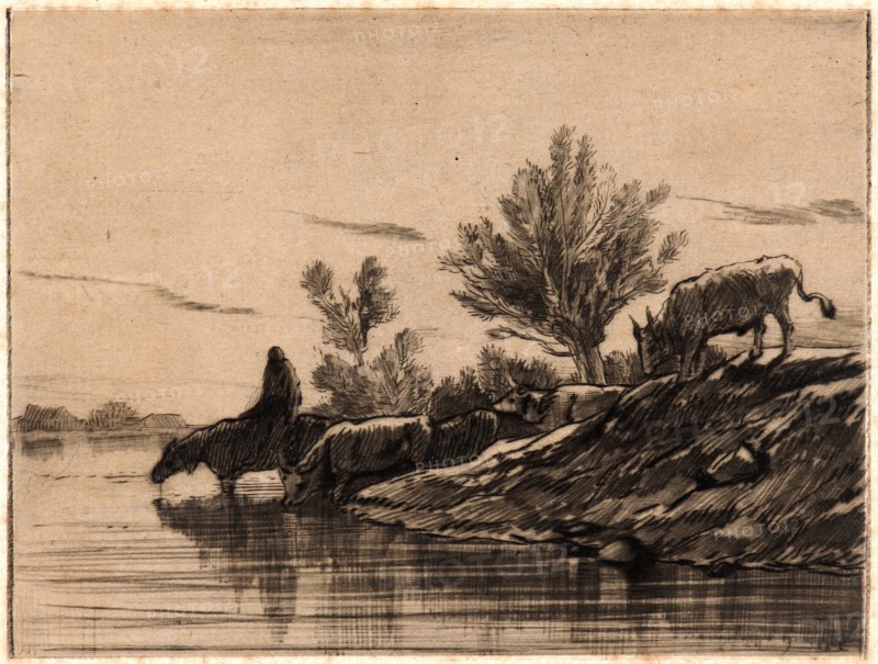 Charles Ãâmile Jacque (French, 1813 - 1894). The Watering Place (L'Abreuvoir), 1848. Drypoint and roulette on buff chine collé. Plate: 95 mm x 126 mm (3.74 in. x 4.96 in.). Third of three states.
