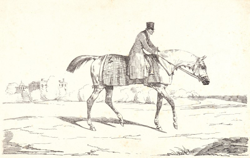 Théodore Géricault (French, 1791 - 1824). English Jockey (Jockey anglais), 1820. Pen lithograph on Autographic cardboard.