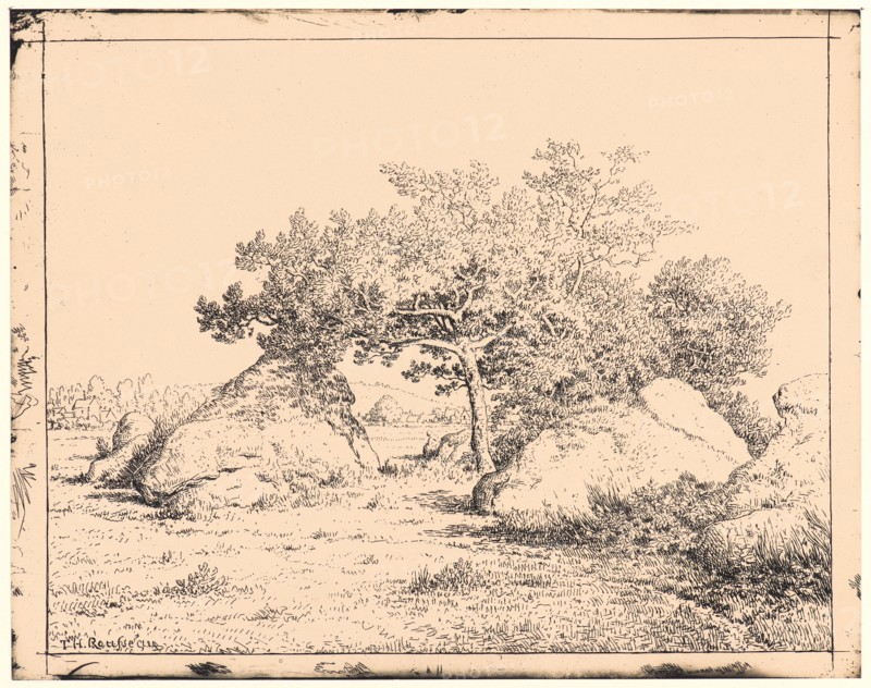 Théodore Rousseau (French, 1812 - 1867). Le Cerisier de la Plante a Biau, 19th century. From Quarante Clichés-Glace. Cliché-verre.