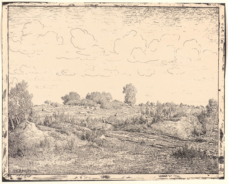 Théodore Rousseau (French, 1812 - 1867). Le Plaine de la Plante a Biau, 19th century. From Quarante Clichés-Glace. Cliché-verre.