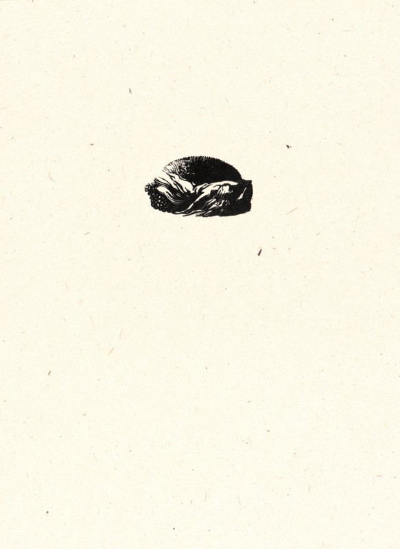 Auguste Louis LepÃ¨re (French, 1849 - 1918). Image from â€úLa BiÃ¨vre, Les Gobelins, Saint-Séverinâ€ù, ca. 1901. Wood engraving on wove paper. Sheet: 289 mm x 201 mm (11.38 in. x 7.91 in.) (sheet dimensions are approximate for each print).