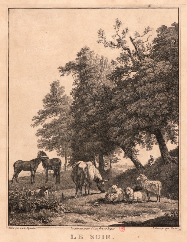 Claude Fortier (French, 1755 - after 1822) and Pierre-Jean Boquet (French, 1751 - 1817) after Karel Dujardin (Dutch, 1626 - 1678). Evening (Le Soir), ca. 1800-1820. Etching on laid paper. Sheet: 283 mm x 223 mm (11.14 in. x 8.78 in.).