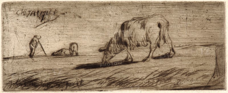 Jean-FranÃ§ois Millet (French, 1814 - 1875). Sheep Grazing (Moutons Paissant), ca. 1849-1850. Drypoint and roulette printed in brown ink on laid paper. Plate: 46 mm x 118 mm (1.81 in. x 4.65 in.). Only state.
