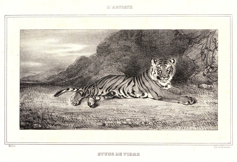 Antoine-Louis Barye (French, 1796 - 1875). Ãâtude de Tigre, 1832. Lithograph. First of three states.