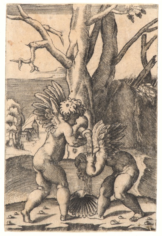 Agostino Musi (aka Agostino Veneziano, Italian, ca. 1490 - after 1536) after Raphael (Italian, 1483 - 1520). Two Cupids, 16th century. Engraving on laid paper. Plate: 125 mm x 84 mm (4.92 in. x 3.31 in.).