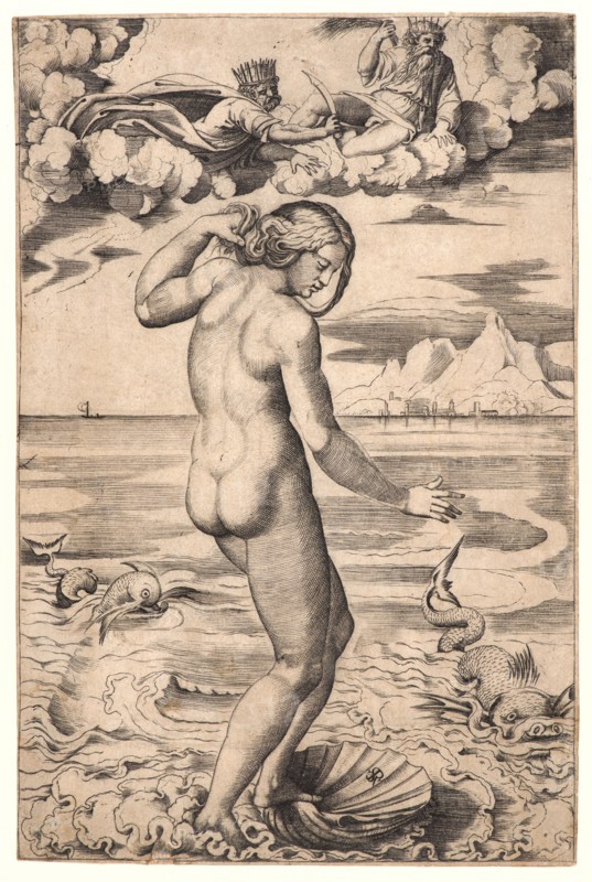 Marco Dente (aka Marco da Ravenna, Italian, ca. 1486-1527) after Raphael (Italian, 1483 - 1520). Venus, ca. 1516. Engraving on laid paper. Plate: 265 mm x 175 mm (10.43 in. x 6.89 in.). First of two states.