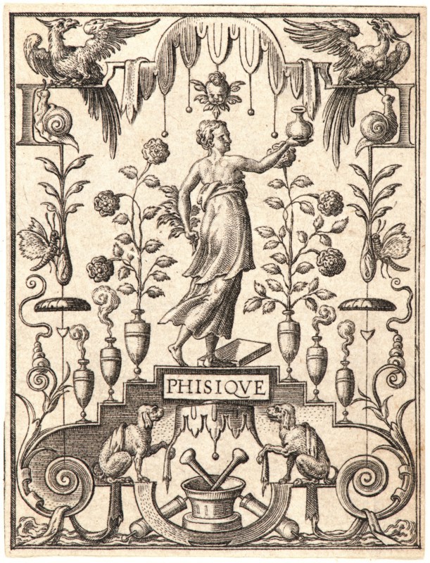 Etienne Delaune (aka Ãâtienne Delaune) (French, ca. 1519-1583). La Physique. From The Sciences. Engraving.