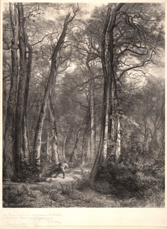 Karl Bodmer (Swiss, 1809 - 1893) after Jean-FranÃ§ois Millet (French, 1814 - 1875). In the Forest or Tall Timber (En ForÃªt ou Haute Futaie), ca. 1851. Lithograph. Image: 632 mm x 500 mm (24.88 in. x 19.69 in.). Second state.